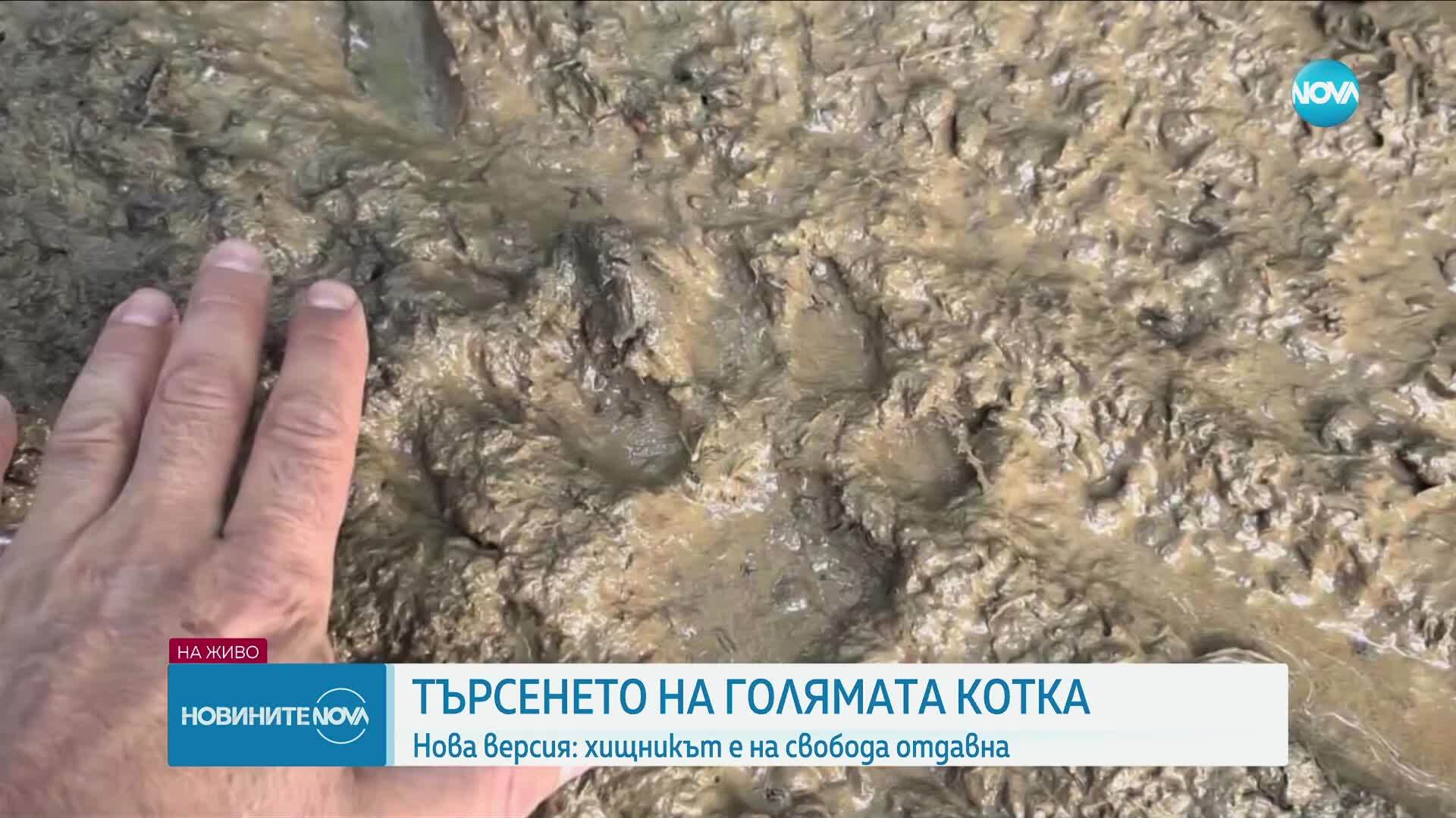 Ето кой е изпуснал Хищникът в Шуменското плато преди повече