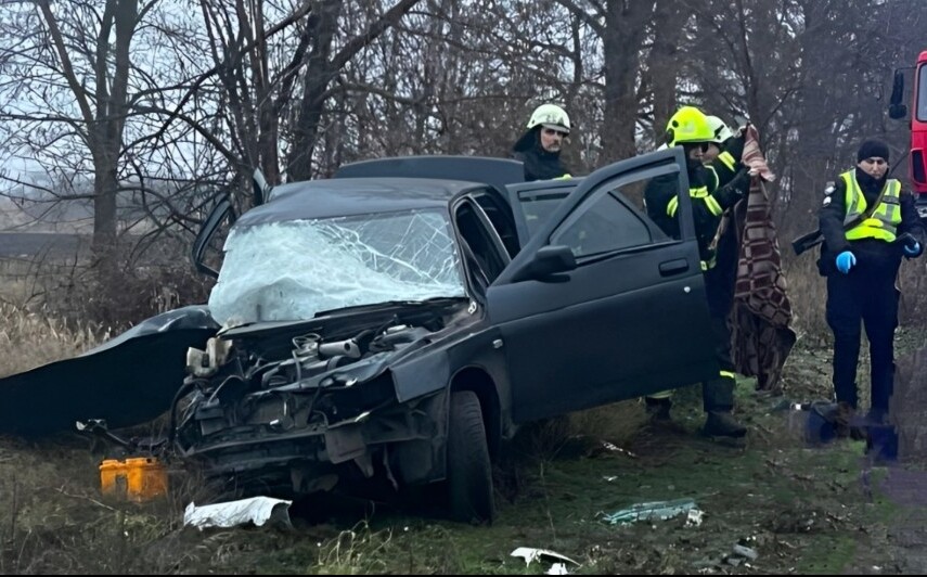 brzal e km sprugata si za rozhdeniya ѝ den v