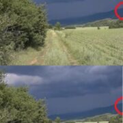 mzh se opita da zasneme buryata no ulovi neshho mnogo