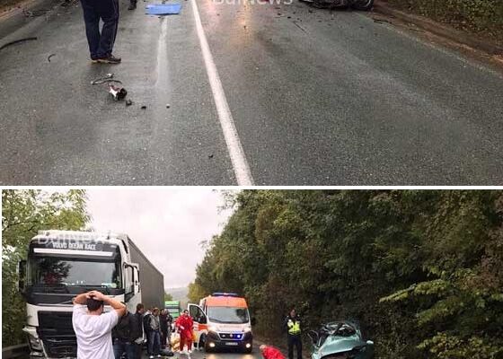 zaginaha v zverska katastrofa