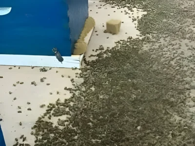 0 tova se sluchi vchera mnogo se nadyavam che shhe.webp.webp