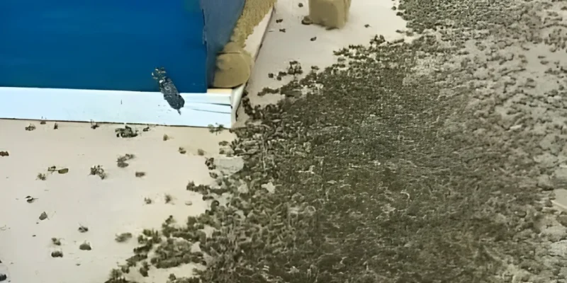 0 tova se sluchi vchera mnogo se nadyavam che shhe.webp.webp