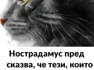 Нострадамус предсказва, че тези, които имат котка в къщи, ще… 19 1763991308 predskazva che tezi koito imat kotka v kshhi shhe…