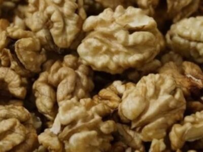 lekarite razkrivat che yadeneto na orehi prichinyava… vizhte poveche