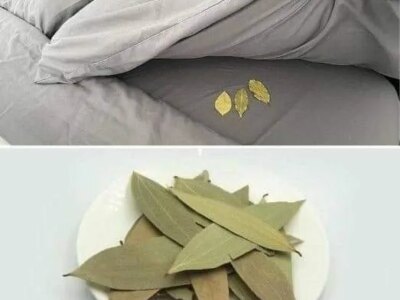 postavete tri dafinovi lista pod legloto predi lyagane eto zashho