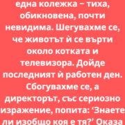 screenshot 9 5