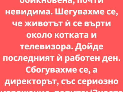 Винаги съм се чудела за една колежка – Десислава. Тиха, обикновена, почти невидима. От онези хора, които ако не седнат на бюрото си сутрин, ще забележиш липсата им чак следобед, и то само ако ти потрябва нещо служебно 7 screenshot 9 5