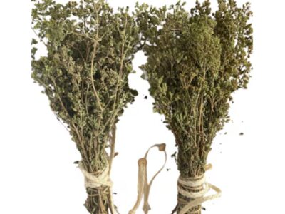 naj moshhnoto rastenie koeto unishhozhava paraziti infekczii na pikochnite ptishha i