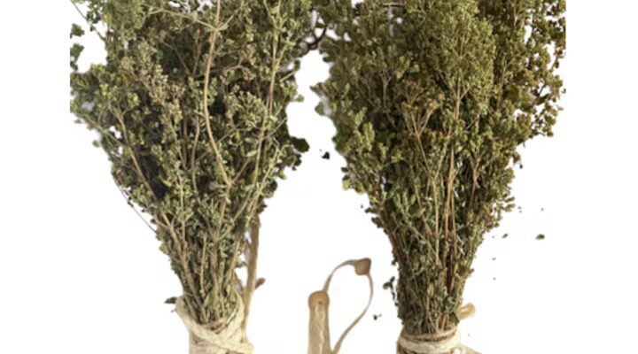 naj moshhnoto rastenie koeto unishhozhava paraziti infekczii na pikochnite ptishha i