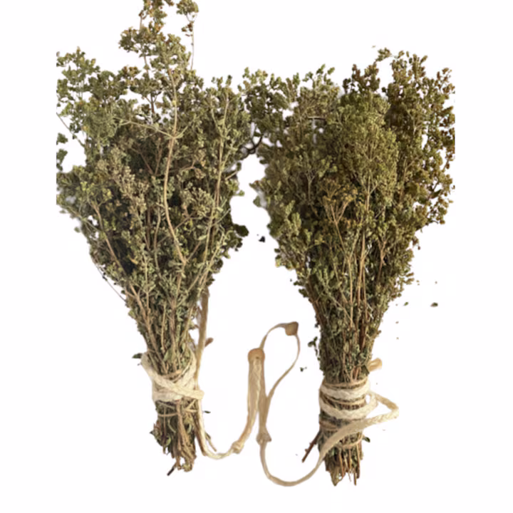 naj moshhnoto rastenie koeto unishhozhava paraziti infekczii na pikochnite ptishha i