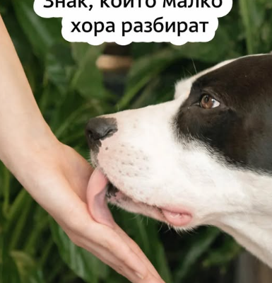 1766856153 screenshot 8 10