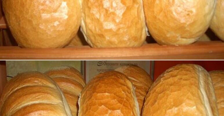 bnb obyavi oficzialnata czena na edin hlyab v evro 773x1024