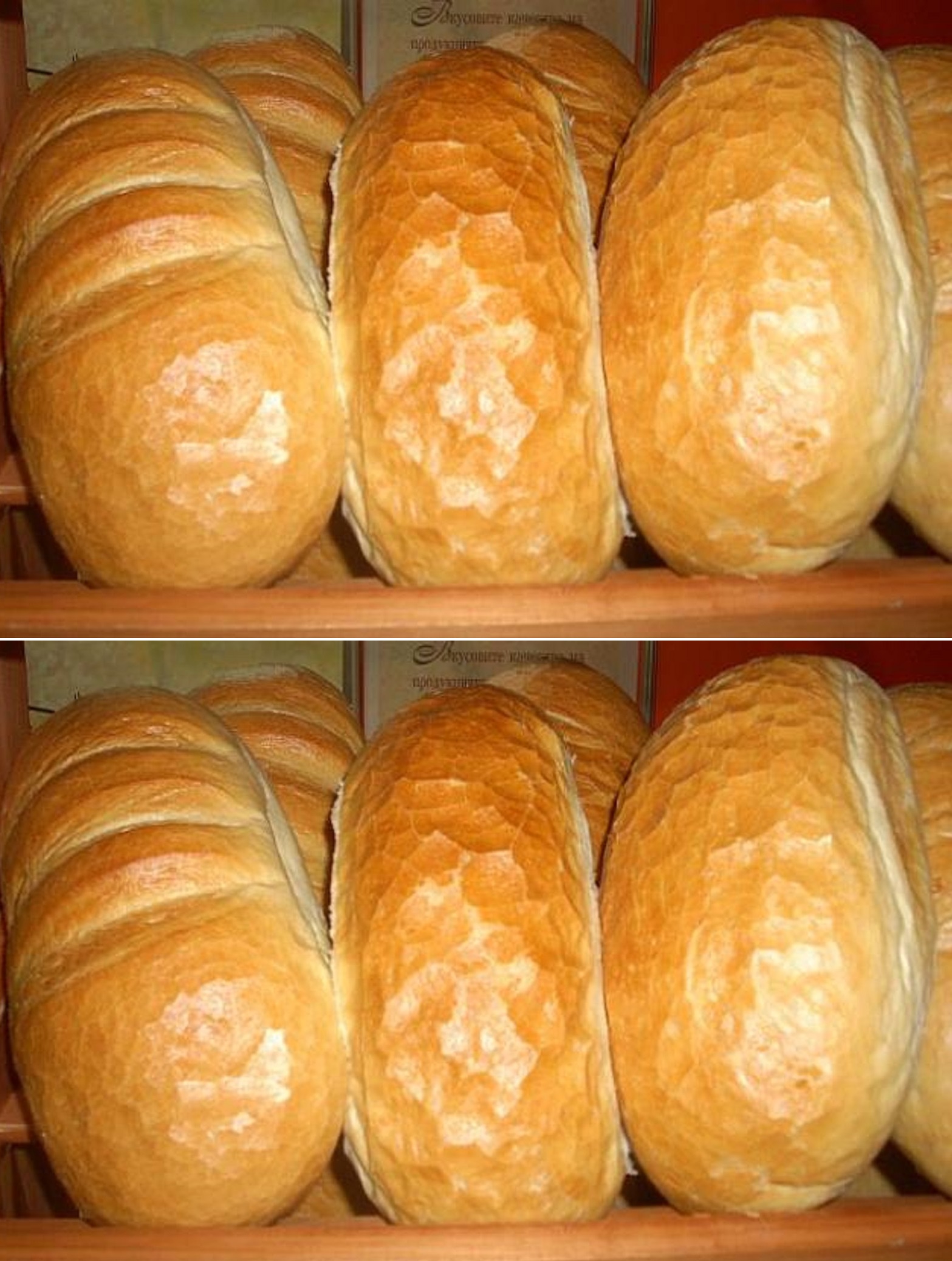 bnb obyavi oficzialnata czena na edin hlyab v evro