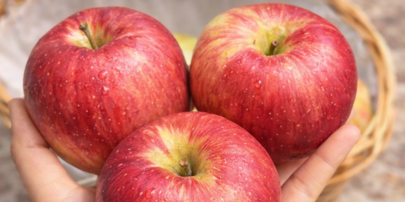 lekarite razkrivat che edna yablka vsyaka vecher prichinyava