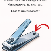 moyata svekrva se smya kogato razbra che nyamam nikakva predstava