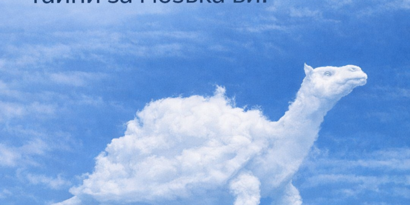 neveroyatno tova koeto vidyahte prvo – kostenurka ili kamila – razkriva skriti tajni za mozka vi