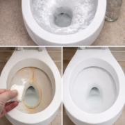 pochistvane na toaletni otkakto otkrih tozi metod toaletnite mi vinagi sa beli i lskavi veche ne izp