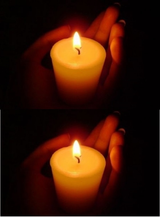 tragediya otide si lyubimeczt na czyala blgariya