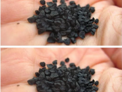 Това Божие растение „лекува всички болести“ – инсулт, диабет, артрит и други. 35 1771582567 screenshot 19