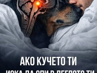 ako kucheto ti iska da spi v legloto ti prichinata