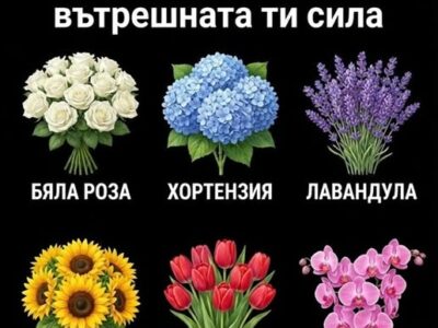 Цветето, което избереш, ще разкрие вътрешната ти сила 11 czveteto koeto izberesh shhe razkrie vtreshnata ti sila