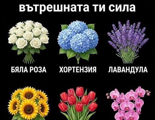 czveteto koeto izberesh shhe razkrie vtreshnata ti sila