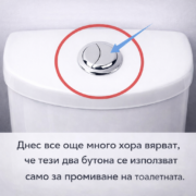 dva butona edna tajna kak toaletnata ti mozhe da pesti voda i pari