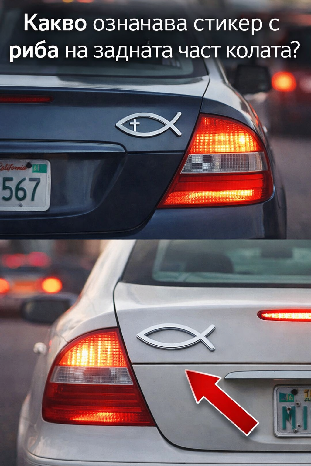 1773400782 26 kakvo oznachava stiker s riba na zadnata chast na kolata