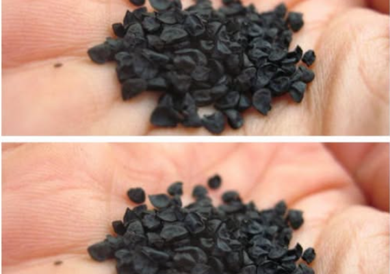 1773403178 screenshot 19