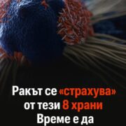 Ракът се „страхува“от тези 8 храни! Консумирайте ги редовно 20 1773992659 rakt se „strahuvaot tezi 8 hrani