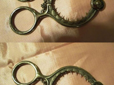 dokato pochistvahme kshhata na nashite baba i dyado sint mi