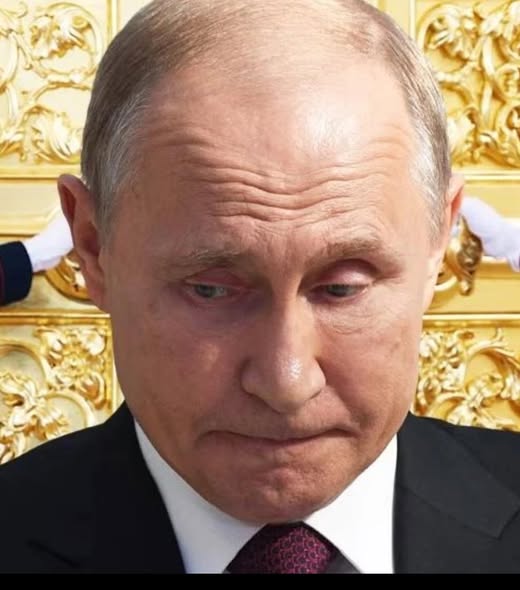 putin smlcha sveta gotvi informativnoeu