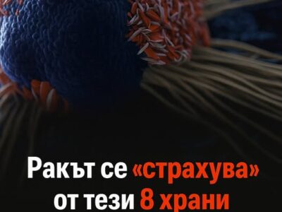Ракът се „страхува“от тези 8 храни! Консумирайте ги редовно 22 rakt se „strahuvaot tezi 8 hrani