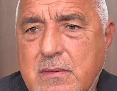 Борисов ни стъписа: За президент издигам… 24 screenshot 18