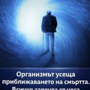 Тялото понякога усеща промяната, преди умът да я осъзнае 30 screenshot 3 16