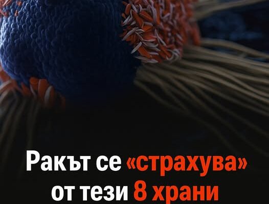 se „strahuvaot tezi 8 hrani