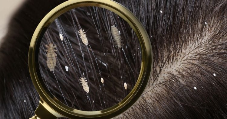 1776152148 242 vnimavajte v gradski transport snimaha zhena koyato kosa e