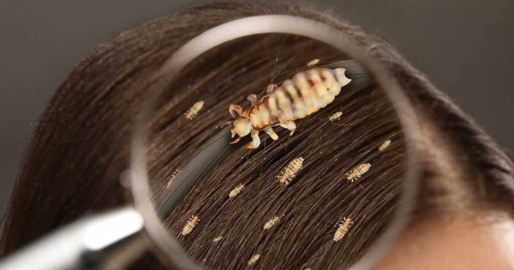 1776152148 45 vnimavajte v gradski transport snimaha zhena koyato kosa e