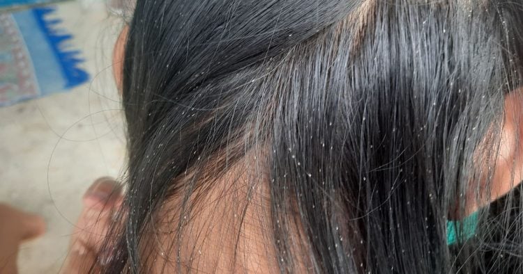 1776152148 831 vnimavajte v gradski transport snimaha zhena koyato kosa e