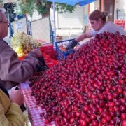 pusnaha prvite chereshi ne e istina na kakva czena