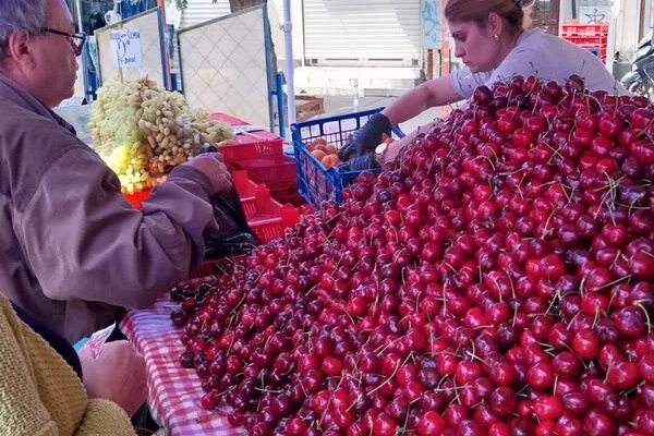 pusnaha prvite chereshi ne e istina na kakva czena