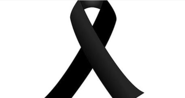 skrbna vest pochina zlatniyat glas na blgariya