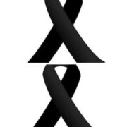 tzhna novina ot dvorecza pochina