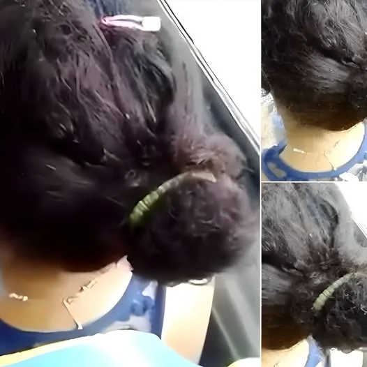 vnimavajte v gradski transport snimaha zhena koyato kosa e.webp