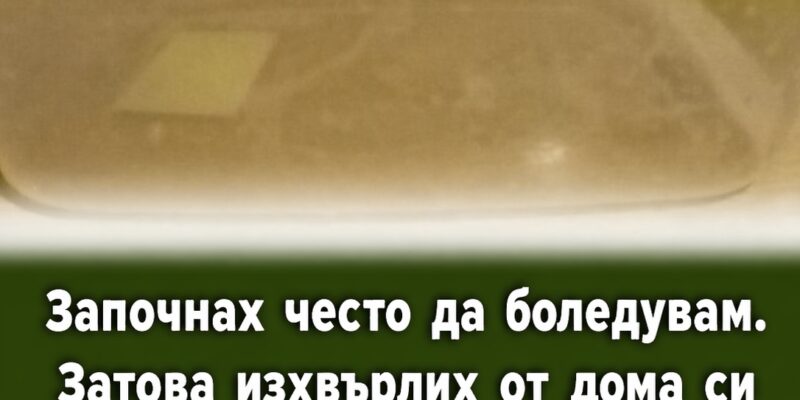 zapochnah chesto da boleduvam zatova izhvrlih ot doma si 3
