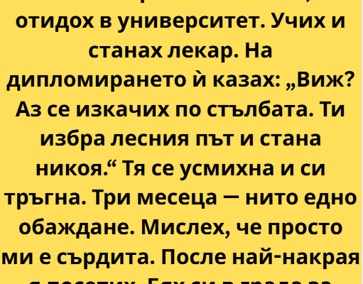 screenshot 12 6