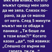Тази сутрин беше точно така. Нищо необичайно. Обикновен вторник, обикновена маршрутка за станцията, обикновена сива светлина на небето 29 screenshot 3