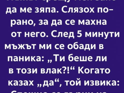 Тази сутрин беше точно така. Нищо необичайно. Обикновен вторник, обикновена маршрутка за станцията, обикновена сива светлина на небето 14 screenshot 3