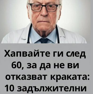 813672265 1736230037658828 6470053857483606387 n